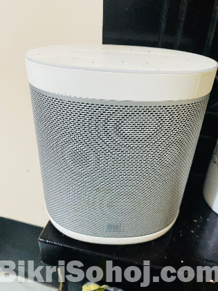 Mi google speaker